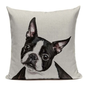 Boston Terrier Head Tilt Cushion Cover