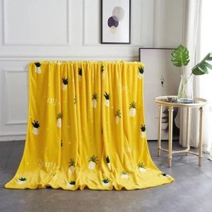 Colorful pineapple velvet blanket