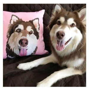 Throw Pillow