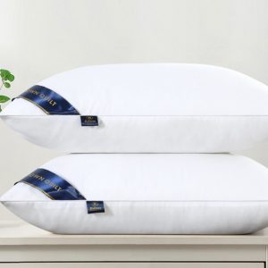 Five Star Hotel Pillow Feather Velvet Matte Thickened Machine Washable Pillow Core