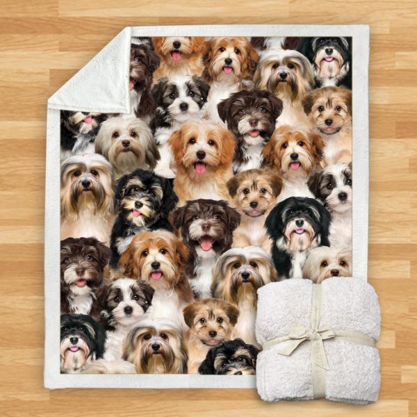 New Fashion Pet Dog Printed Flannel Blanket