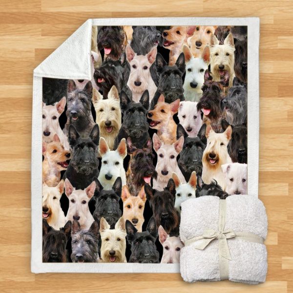 New Fashion Pet Dog Printed Flannel Blanket - Image 23