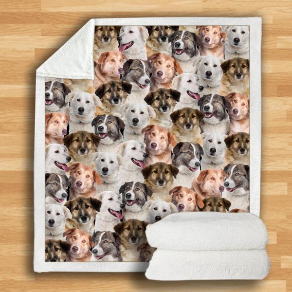 New Fashion Pet Dog Printed Flannel Blanket