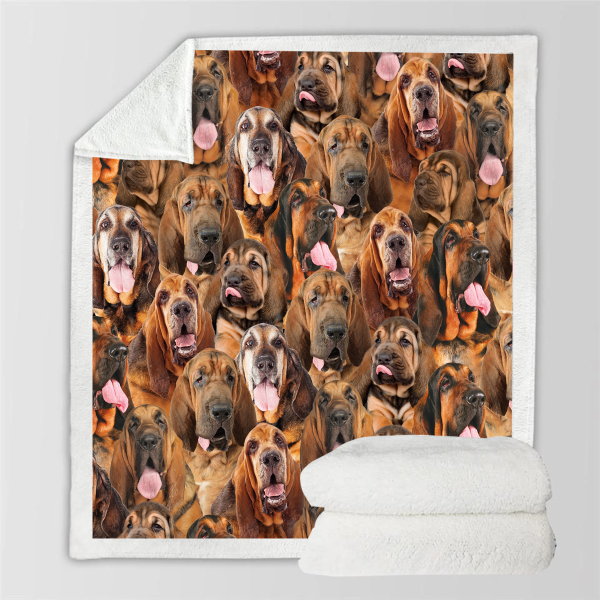 New Fashion Pet Dog Printed Flannel Blanket - Image 48