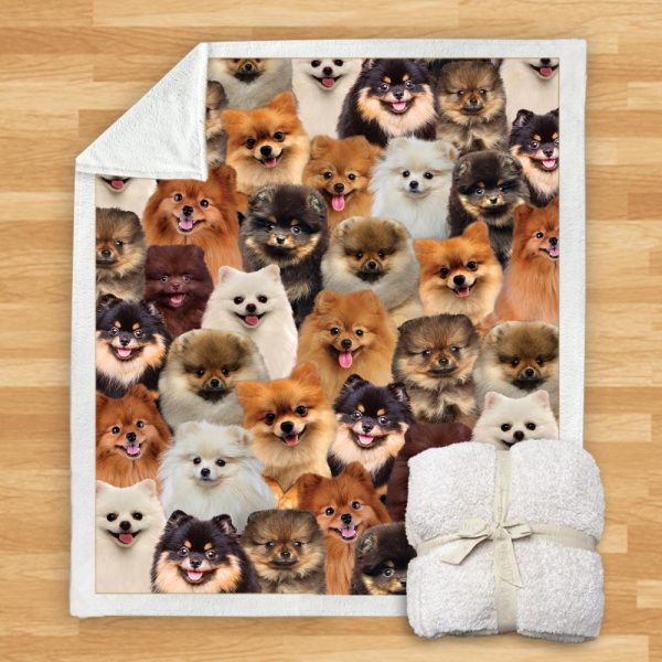 New Fashion Pet Dog Printed Flannel Blanket - Image 13