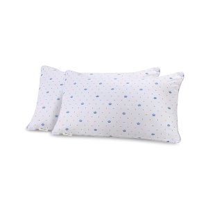 Feather velvet health pillow