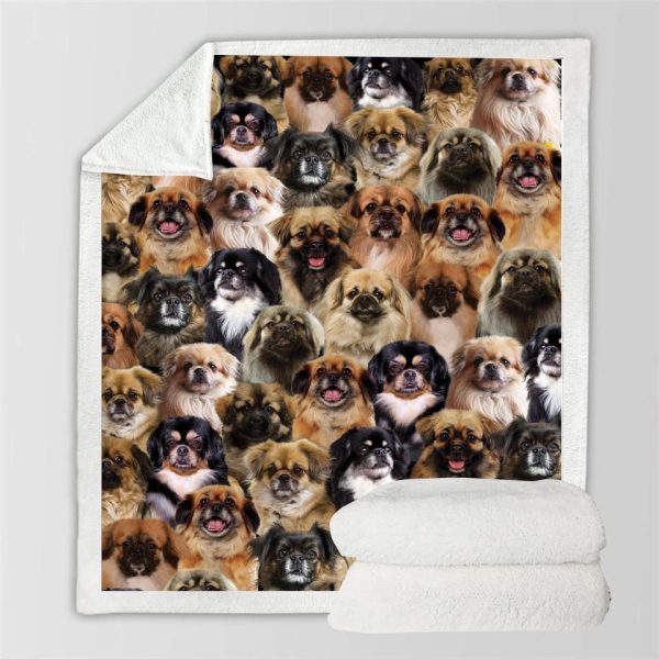 New Fashion Pet Dog Printed Flannel Blanket - Image 31