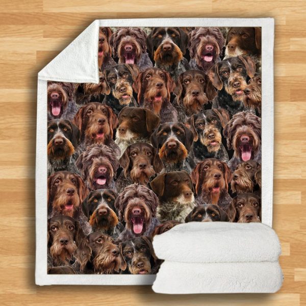 New Fashion Pet Dog Printed Flannel Blanket - Image 49