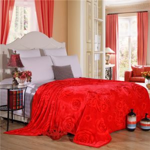 Thickened Cloud Mink Velvet Blanket