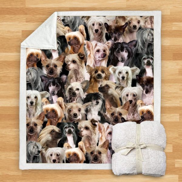 New Fashion Pet Dog Printed Flannel Blanket - Image 28