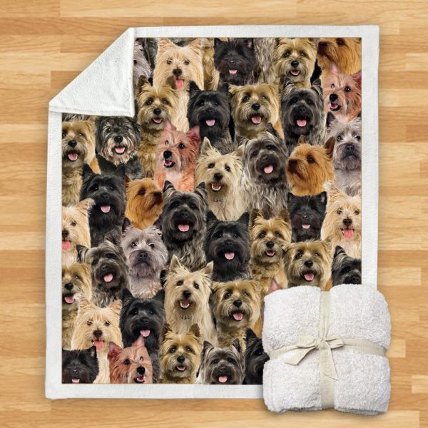 New Fashion Pet Dog Printed Flannel Blanket - Image 25