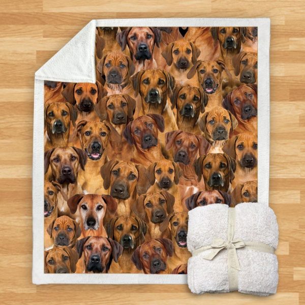 New Fashion Pet Dog Printed Flannel Blanket - Image 17