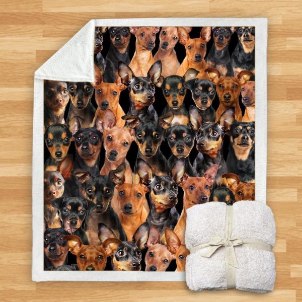 New Fashion Pet Dog Printed Flannel Blanket - Image 4