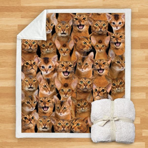 New Fashion Pet Dog Printed Flannel Blanket - Image 6