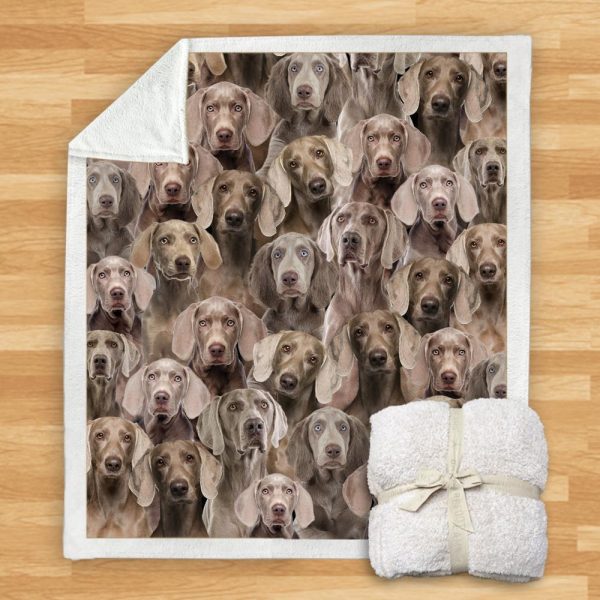 New Fashion Pet Dog Printed Flannel Blanket - Image 32