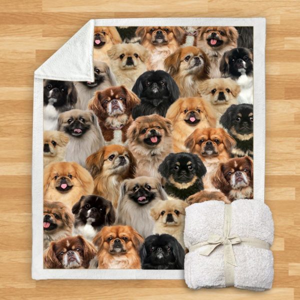 New Fashion Pet Dog Printed Flannel Blanket - Image 12