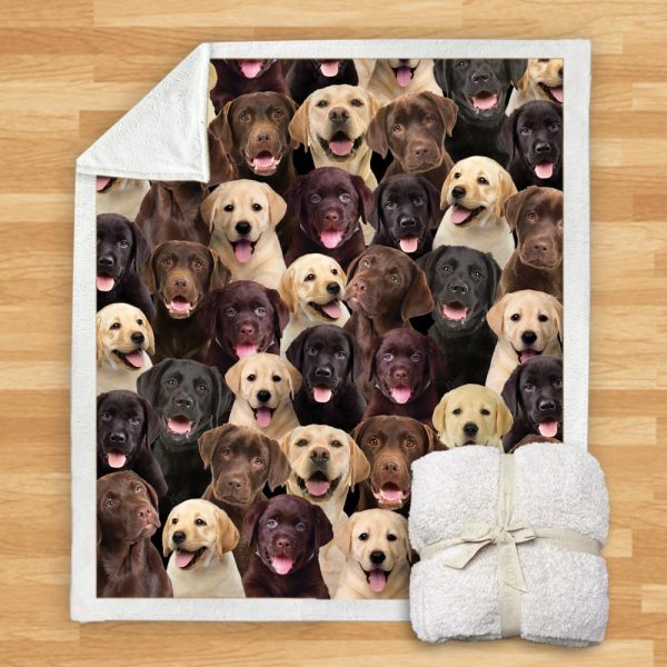 New Fashion Pet Dog Printed Flannel Blanket - Image 7